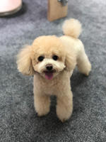 测试商品102105 M